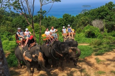 Mini Safari Tour Phuket