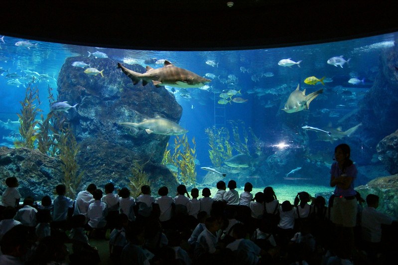 Bangkok Sea Life Aquarium